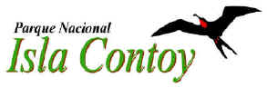 Click here for the oficial Mexican  Contoy site  w plenty of cientific information( Spanish only)