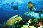 corail aux parque nationale