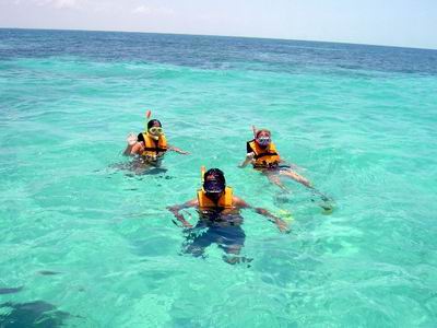 Snorkeling at the Barrier Reef