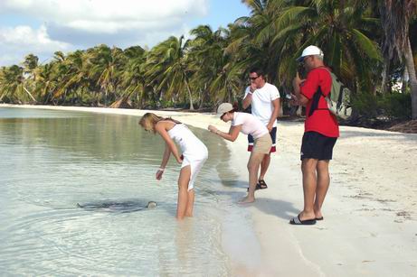 Visiting with the friendly Sting Ray