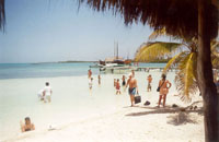 Sting ray beach