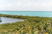 View from the panoramic tower